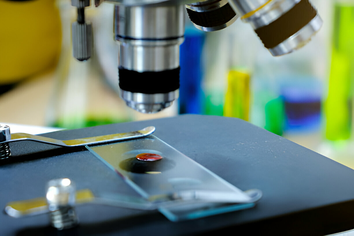 Salle UP2: BIOMORPHOLOGIE ET BIOINGENIERIE MEDICALE-Promo 26-27